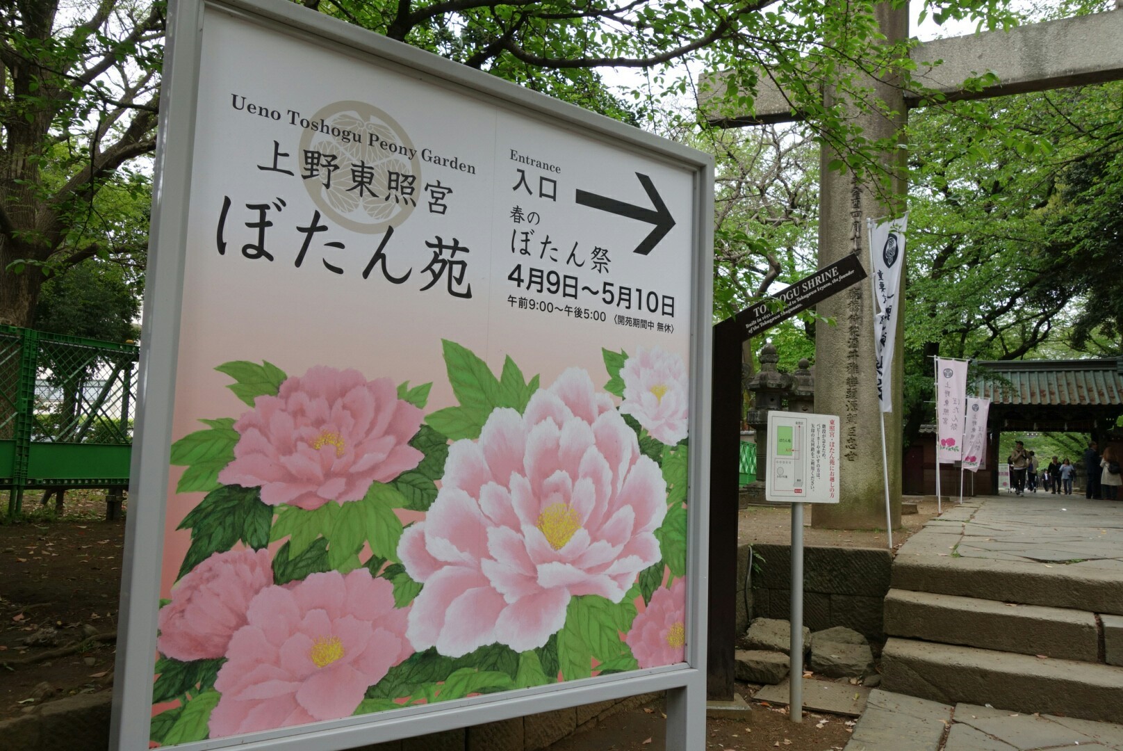 上野東照宮牡丹園