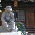 2016年【申年】の運気をアップする東京の初詣スポットや神社・パワースポットを紹介！