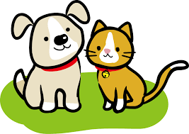 ネコとイヌ