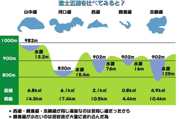 富士五湖の面積や標高、水量など